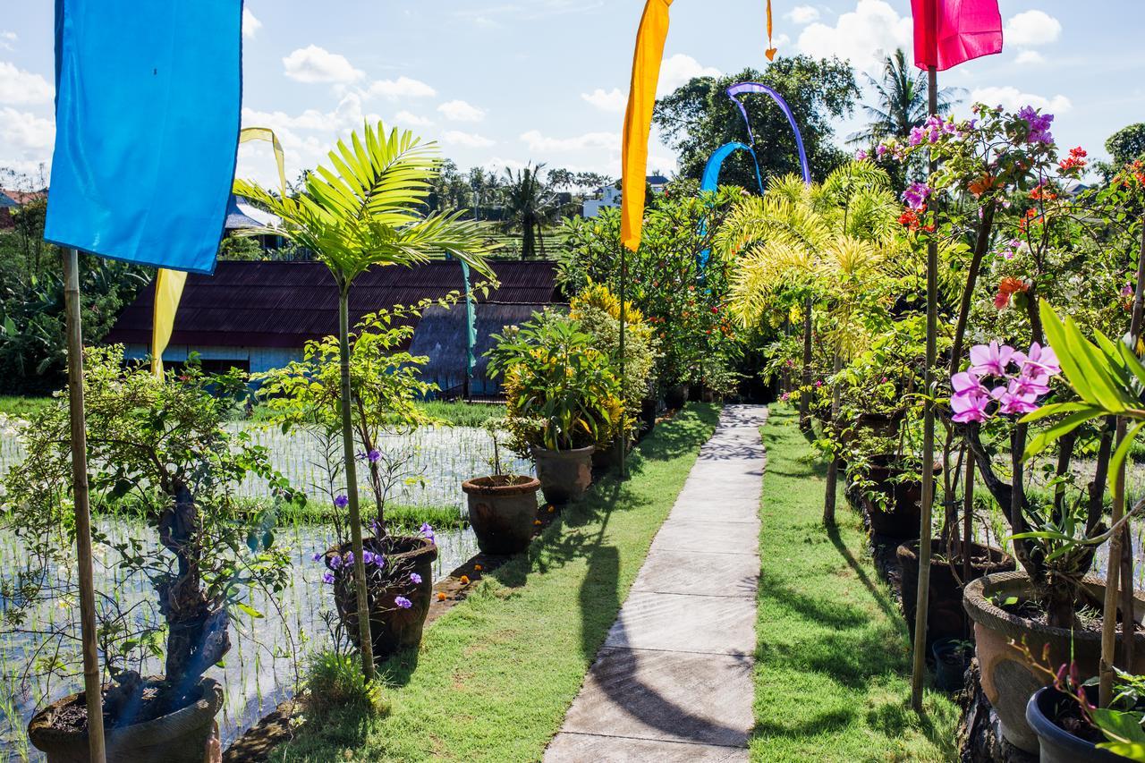 Matra Bali Guesthouse Canggu Kültér fotó
